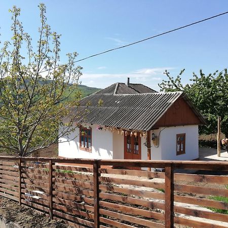 Pensiunea Turistica "Casa Rustica" Βίλα Chiscareni Εξωτερικό φωτογραφία