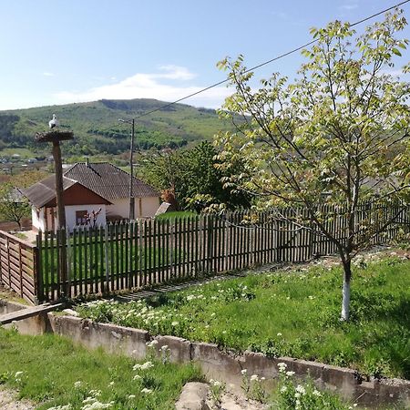 Pensiunea Turistica "Casa Rustica" Βίλα Chiscareni Εξωτερικό φωτογραφία