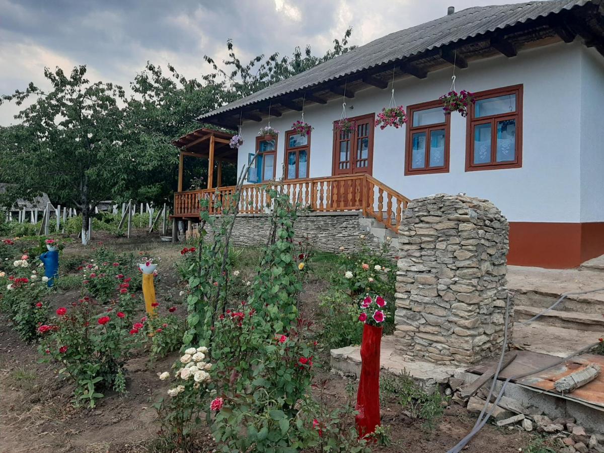Pensiunea Turistica "Casa Rustica" Βίλα Chiscareni Εξωτερικό φωτογραφία
