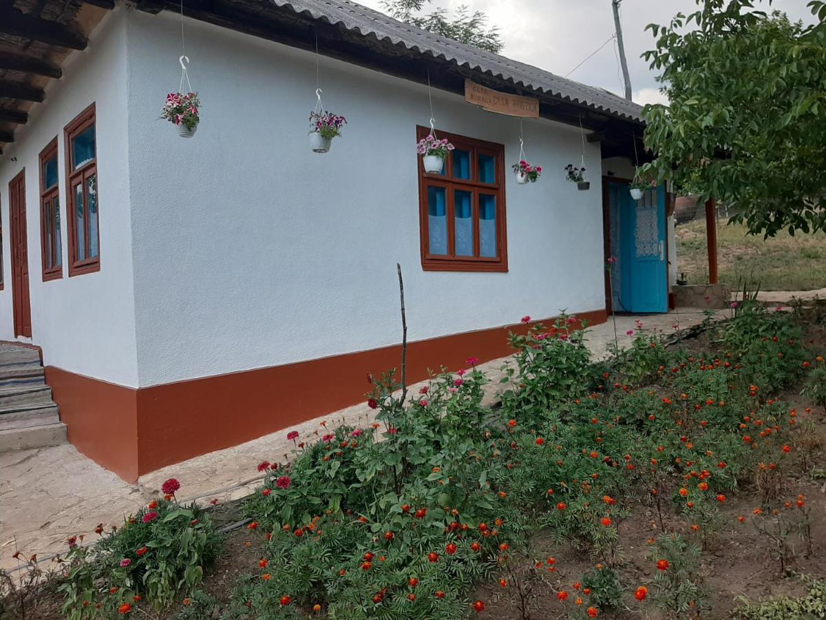 Pensiunea Turistica "Casa Rustica" Βίλα Chiscareni Εξωτερικό φωτογραφία