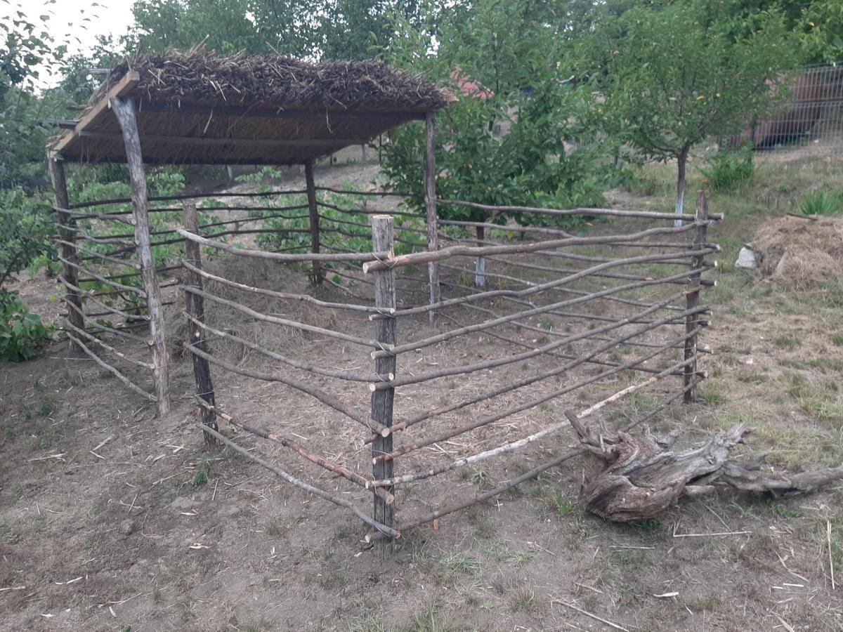 Pensiunea Turistica "Casa Rustica" Βίλα Chiscareni Εξωτερικό φωτογραφία