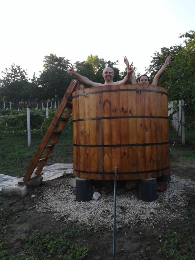 Pensiunea Turistica "Casa Rustica" Βίλα Chiscareni Εξωτερικό φωτογραφία