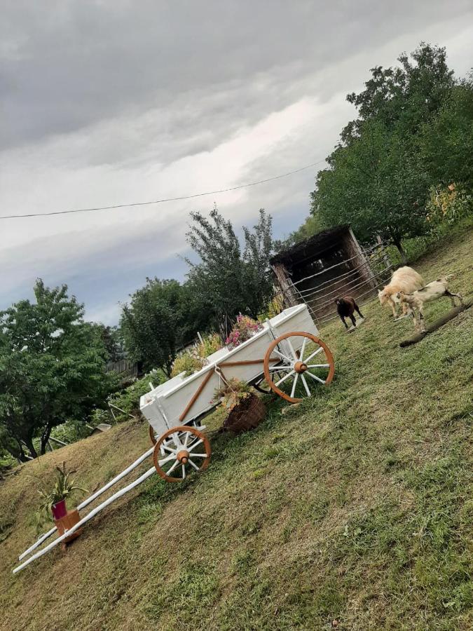 Pensiunea Turistica "Casa Rustica" Βίλα Chiscareni Εξωτερικό φωτογραφία