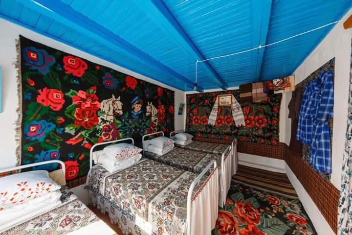 Pensiunea Turistica "Casa Rustica" Βίλα Chiscareni Εξωτερικό φωτογραφία