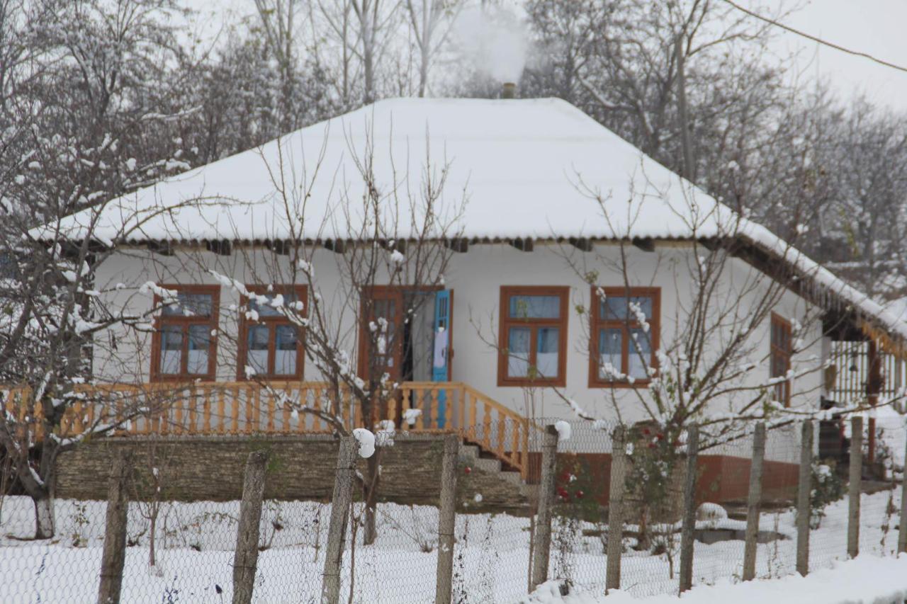 Pensiunea Turistica "Casa Rustica" Βίλα Chiscareni Εξωτερικό φωτογραφία
