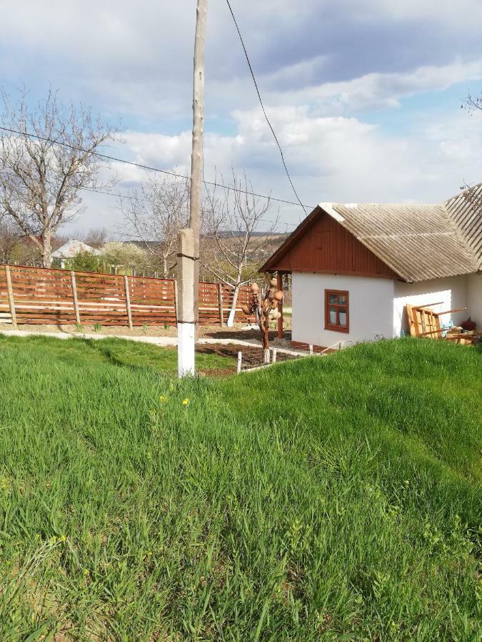 Pensiunea Turistica "Casa Rustica" Βίλα Chiscareni Εξωτερικό φωτογραφία