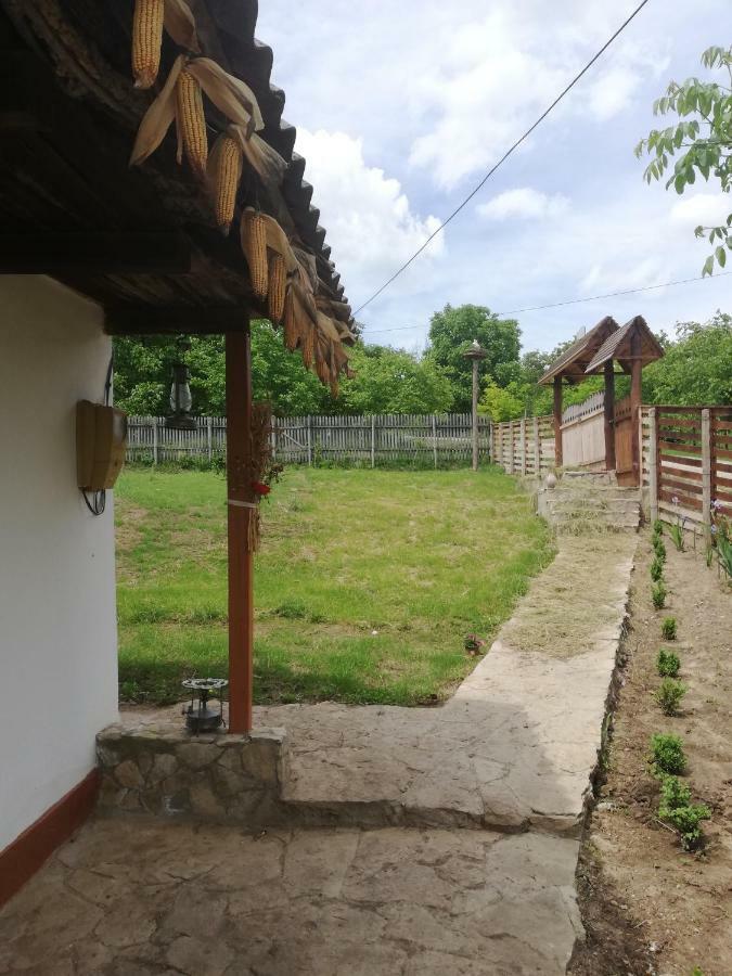 Pensiunea Turistica "Casa Rustica" Βίλα Chiscareni Εξωτερικό φωτογραφία
