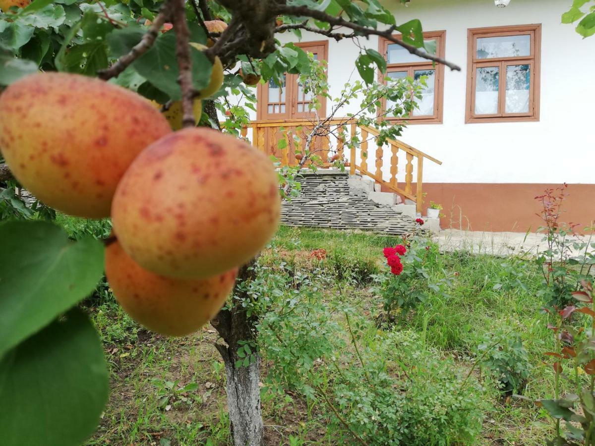 Pensiunea Turistica "Casa Rustica" Βίλα Chiscareni Εξωτερικό φωτογραφία