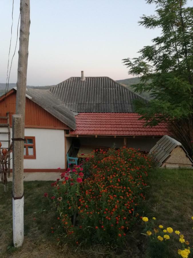 Pensiunea Turistica "Casa Rustica" Βίλα Chiscareni Εξωτερικό φωτογραφία